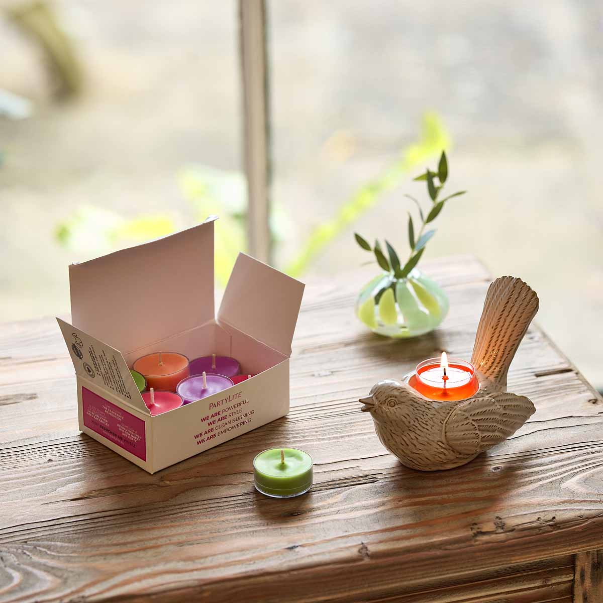 Garden Beauty 12-Piece colorful Tealight Sampler shown with the Songbird tealight holder with a lit tealight on a wooden surface.