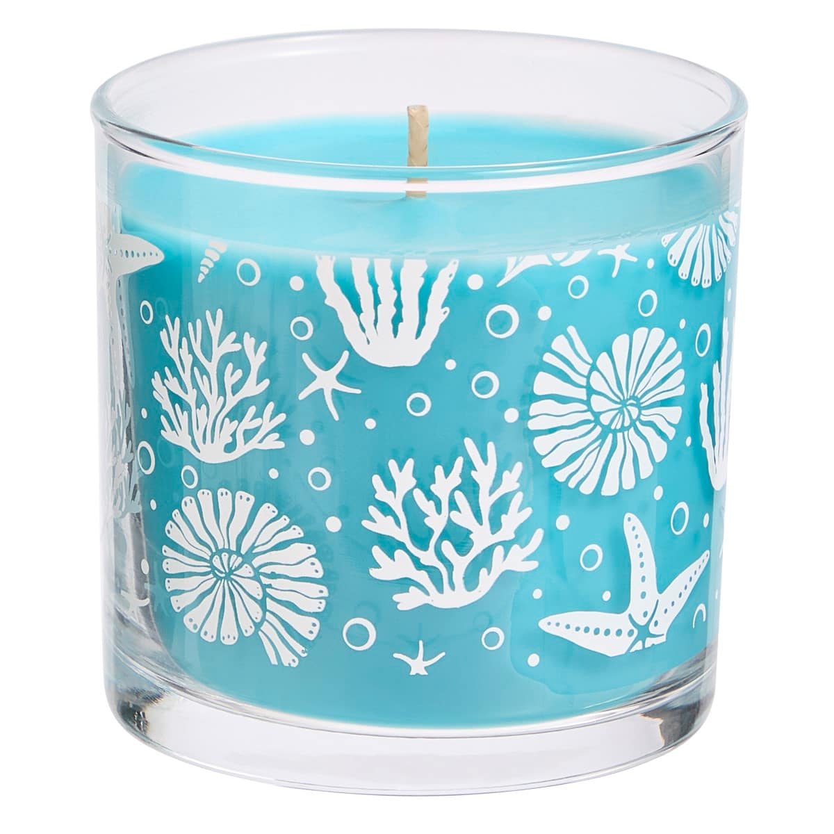 Salty Seascape Mini Jar Candle against a white background