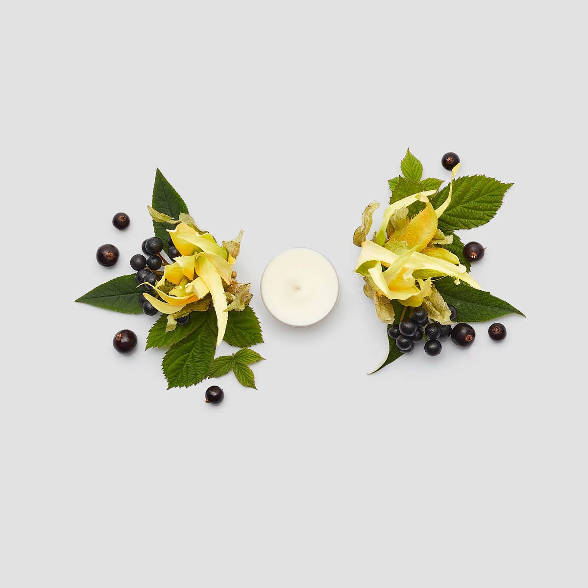 Brighter World™ Ylang Ylang Black Currant 100% Soy Tealight Candles