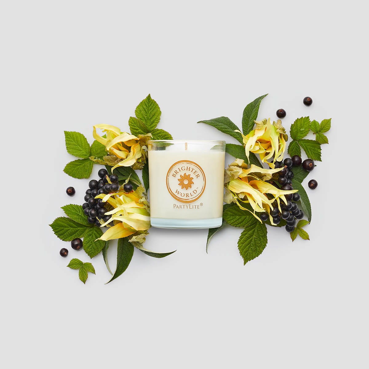 Brighter World™ Ylang Ylang Black Currant Jar Candle