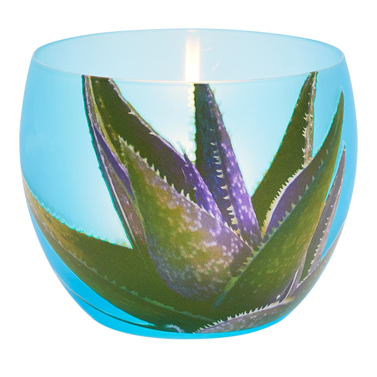 Cacti Tealight Holder Pair
