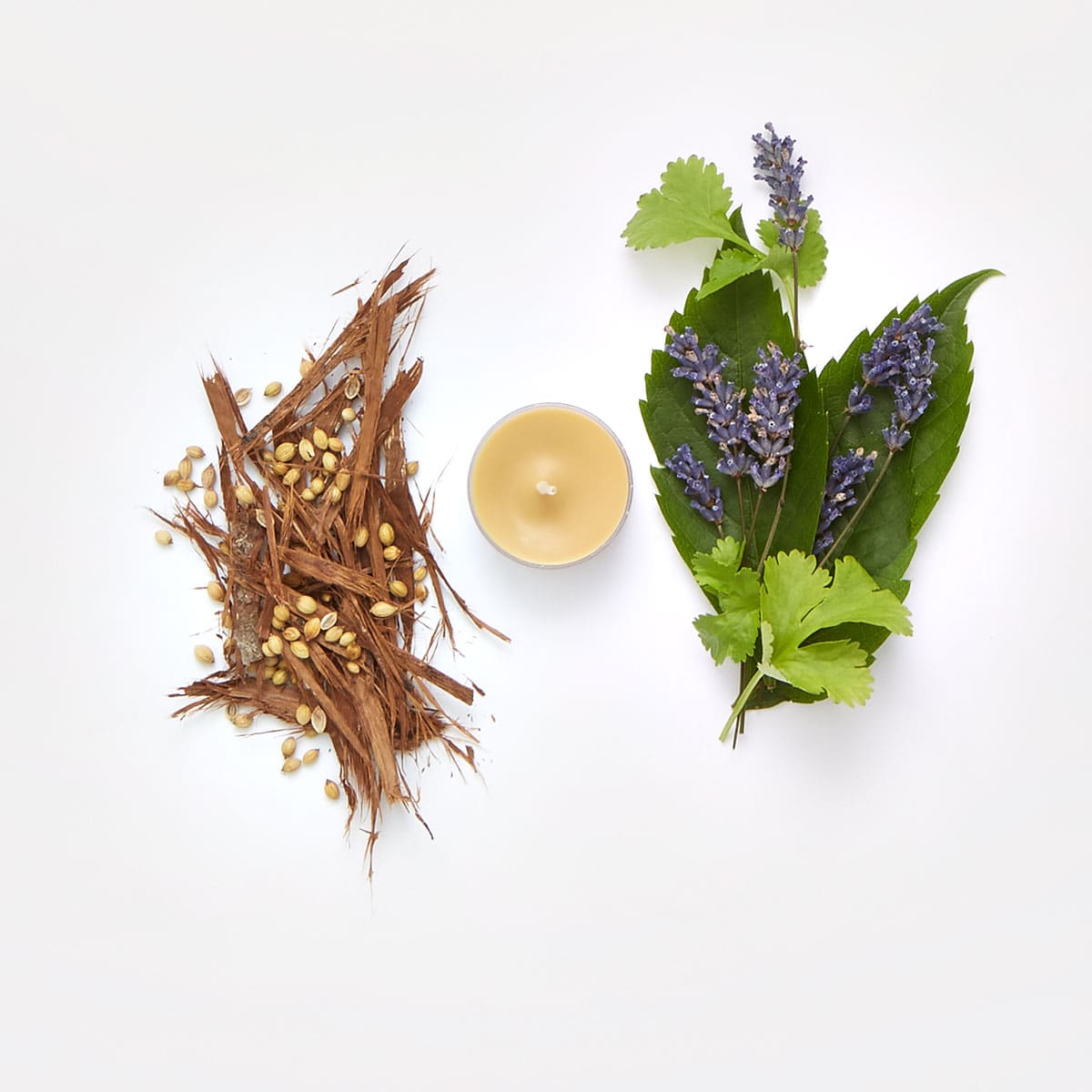 Cedar Patchouli Universal Tealight® Candles