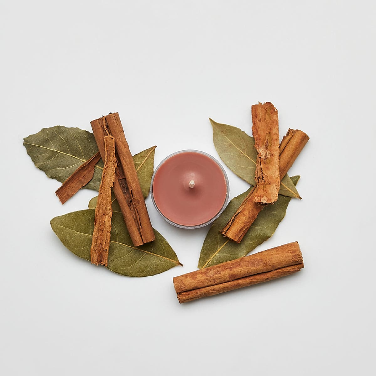 Cinnamon Woods Universal Tealight® Candles