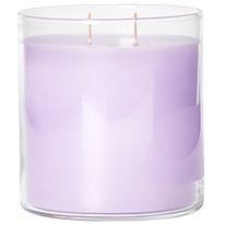 Geranium Citronella 2-wick jar candle on a transparent background