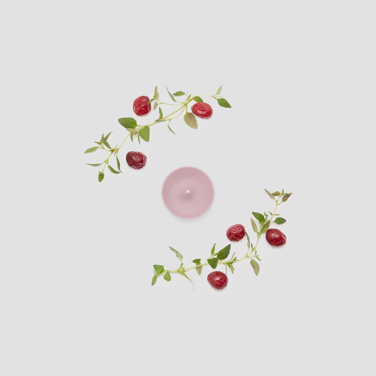 Cranberry Thyme Universal Tealight® Candles