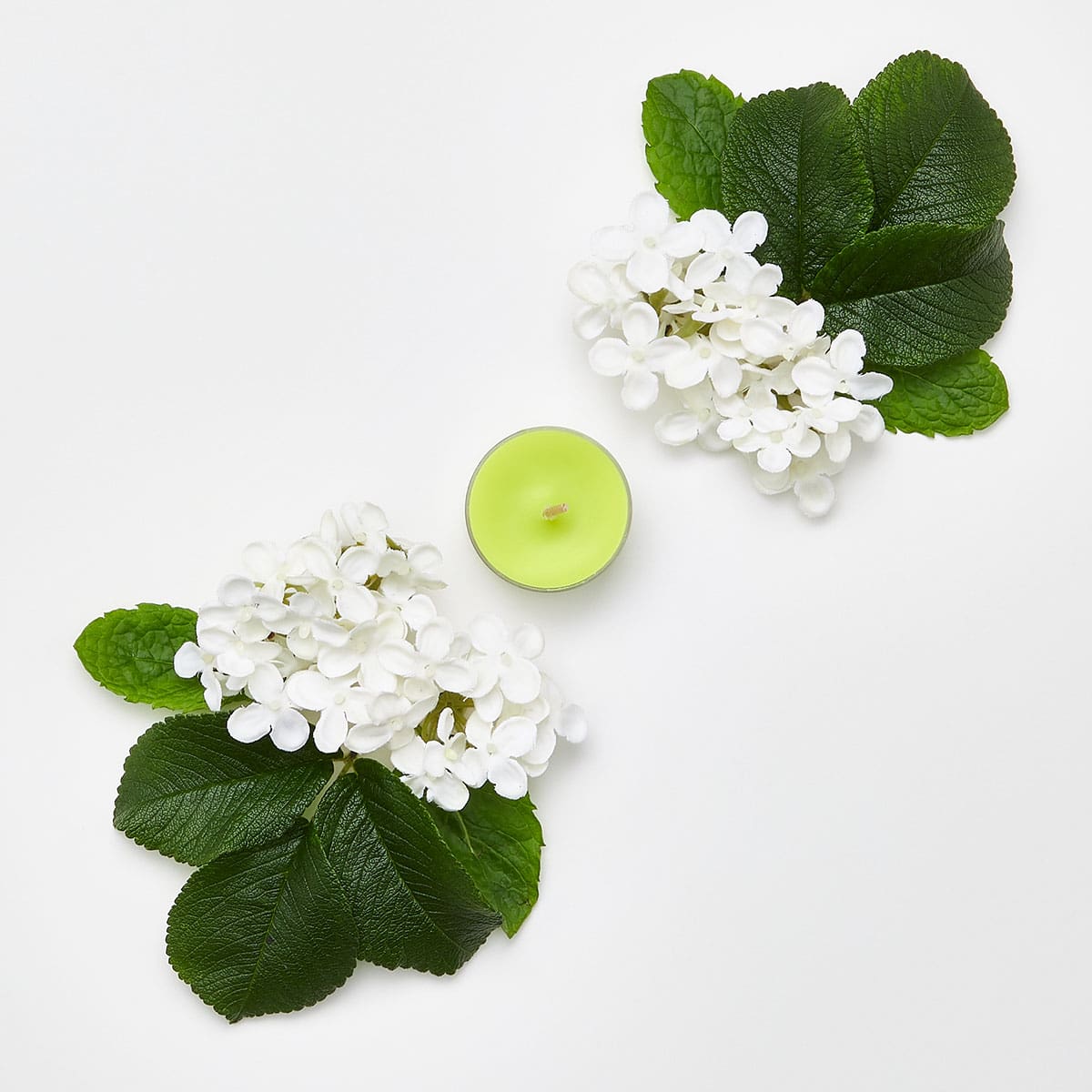 Elderflower & Mint Universal Tealight® Candles