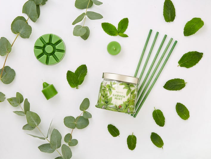 Garden Mint Scent Plus® Wax Melts