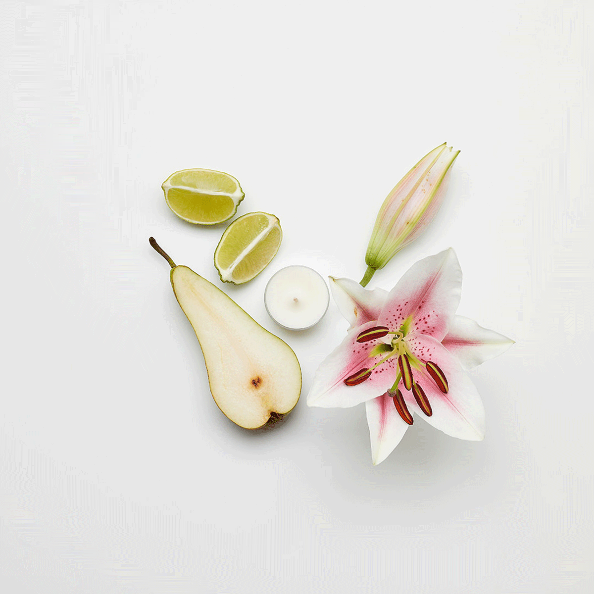 Lily & Linen Universal Tealight® Candles