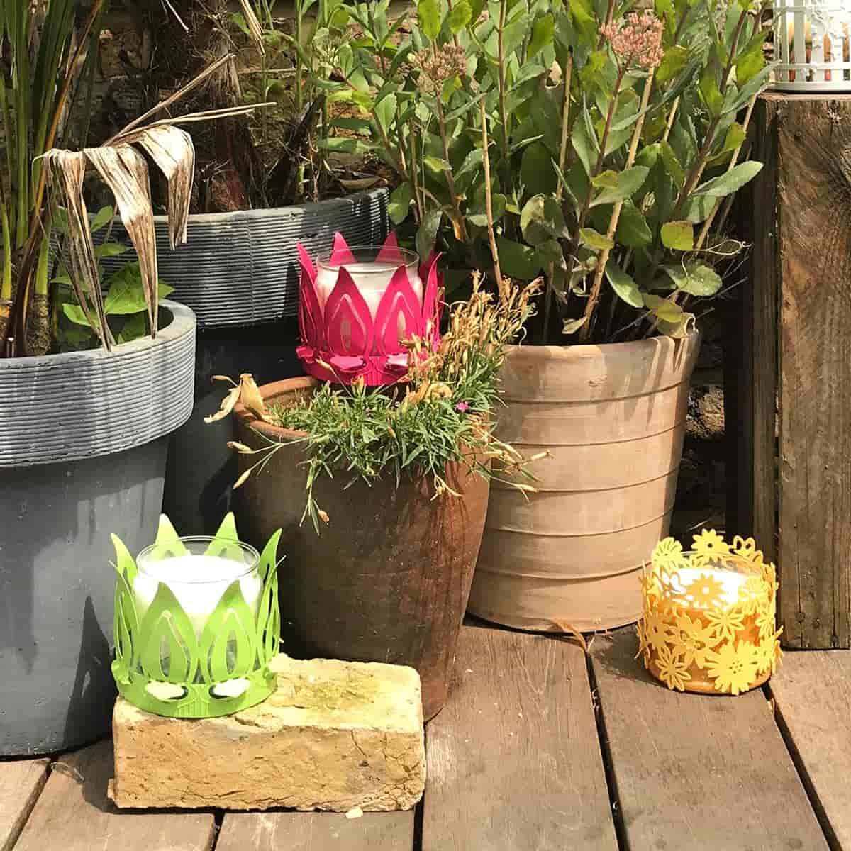 Lotus Jar Candle Holder - Pink