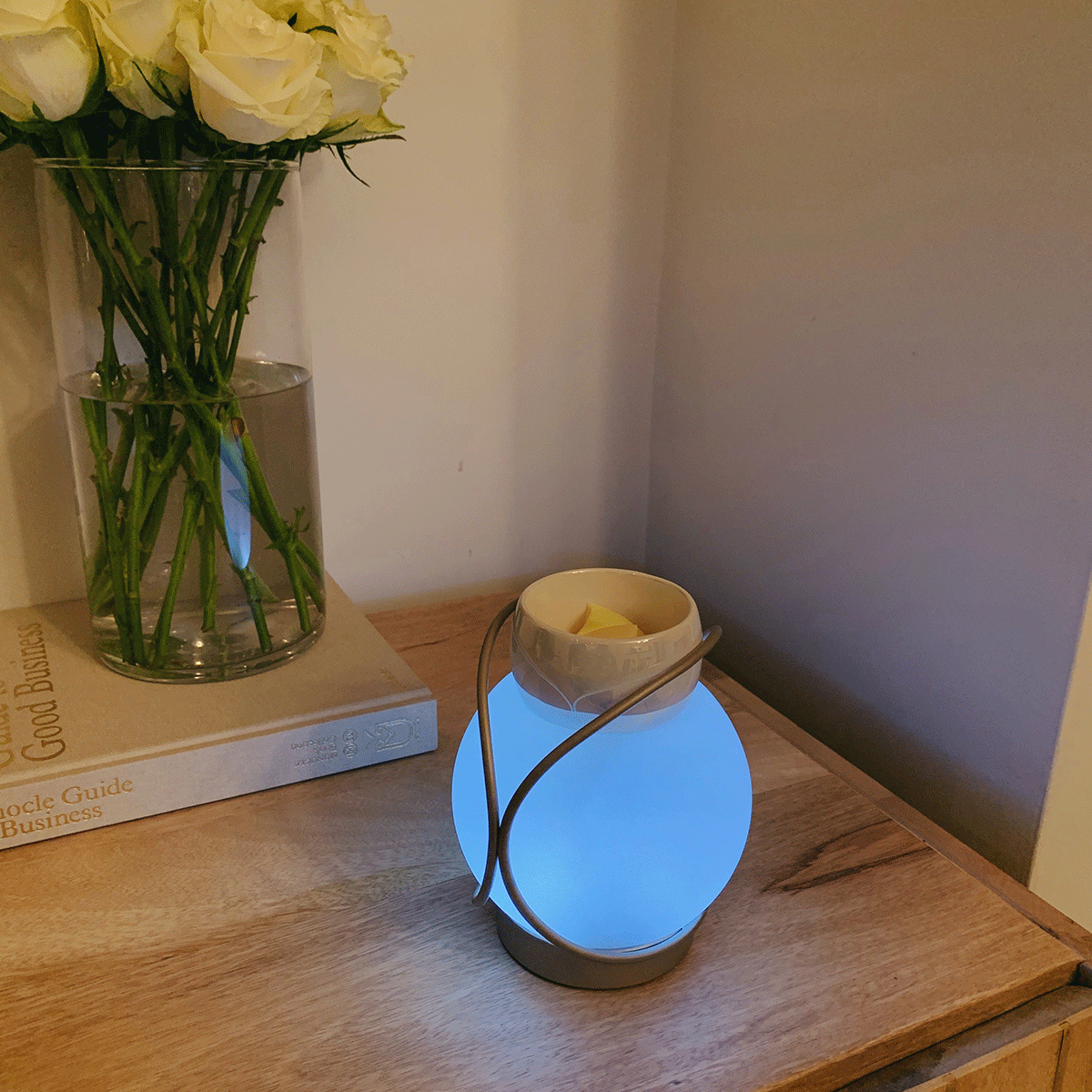 Modern Circles ScentGlow® Electric Wax Melt Warmer