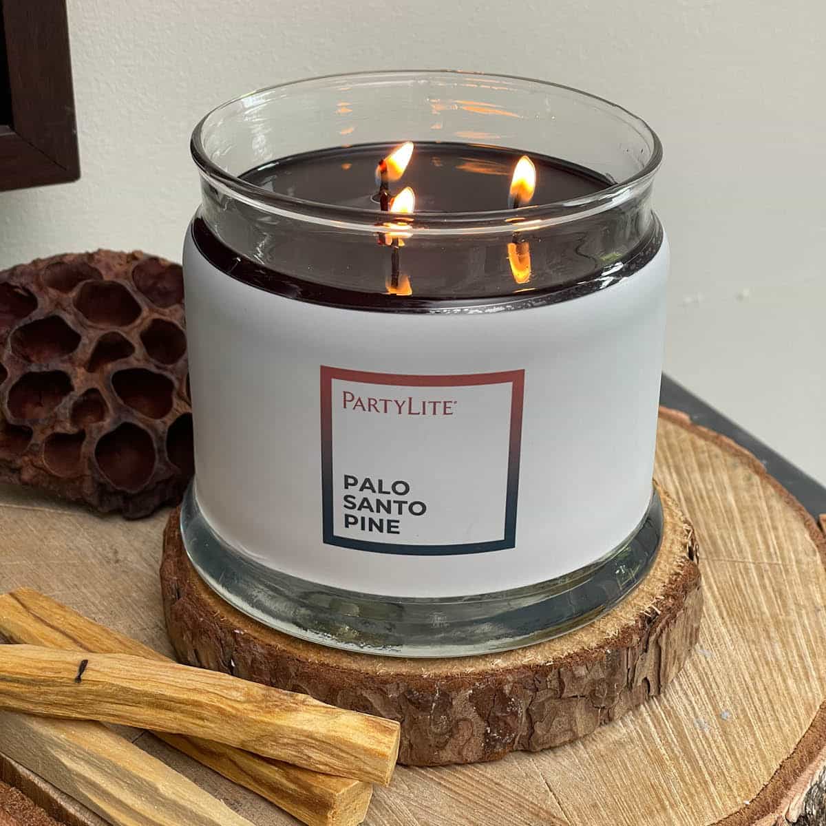 Palo Santo Pine 3-Wick Jar Candle