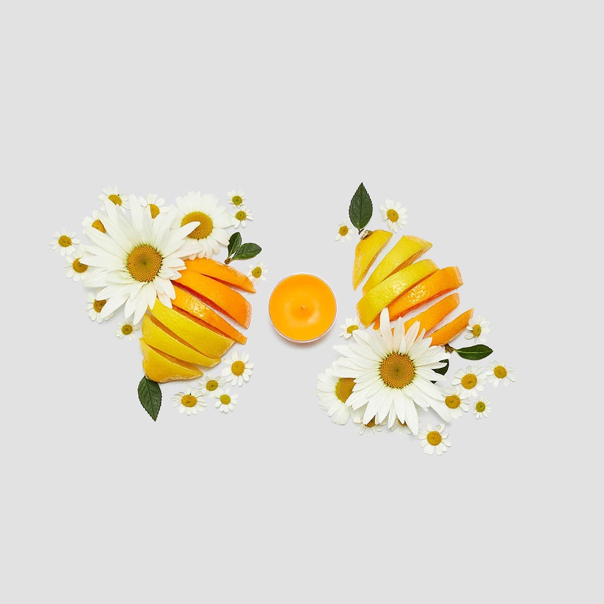 Sweet Citrus & Daisy Universal Tealight® Candles
