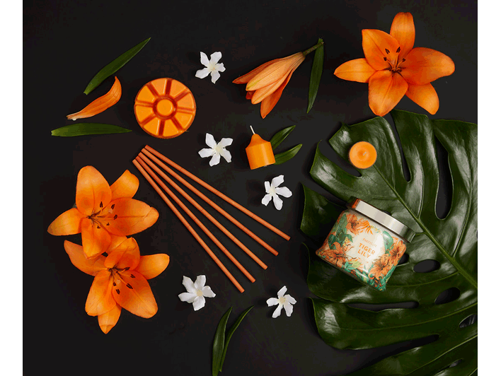 Tiger Lily Scent Plus® Wax Melts