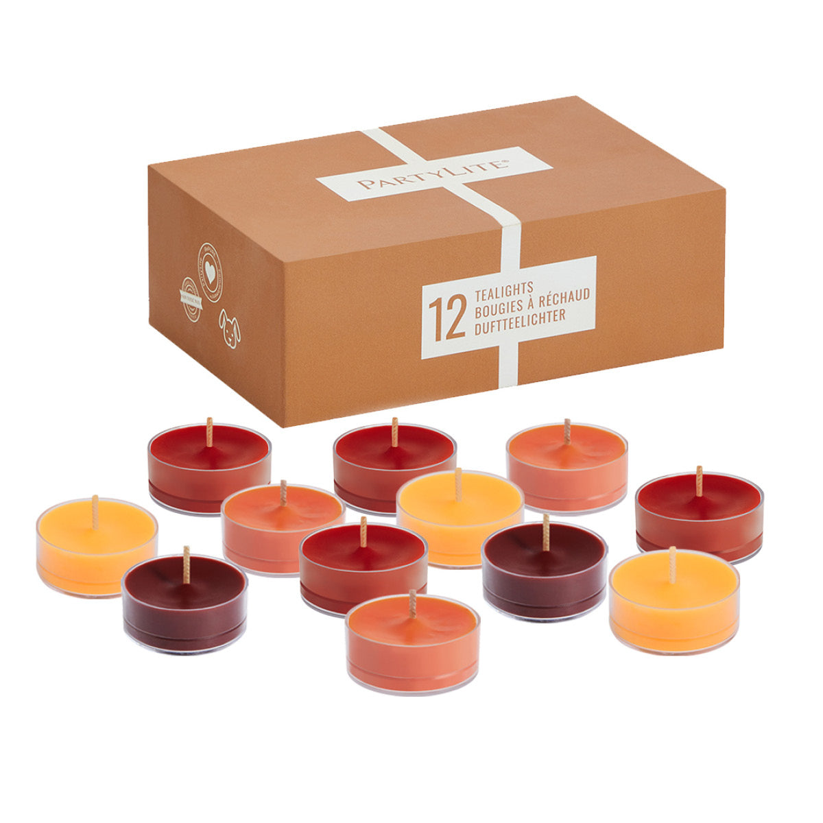 Autumn Wood Tealight sampler shown with the packaging with a white background