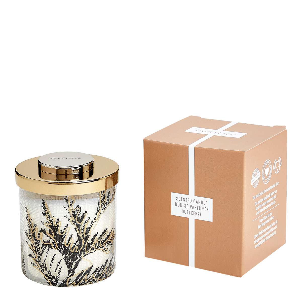 Santal & Cedar Modern Luxe Jar Candle